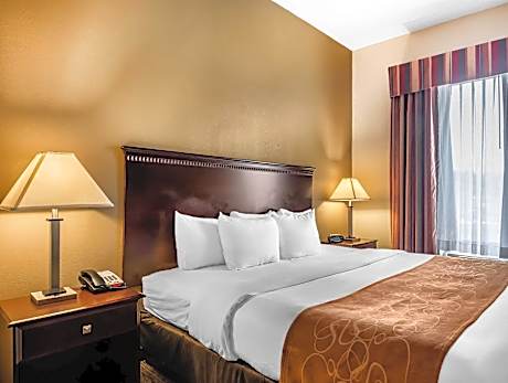 1 King Bed, Suite, Nonsmoking