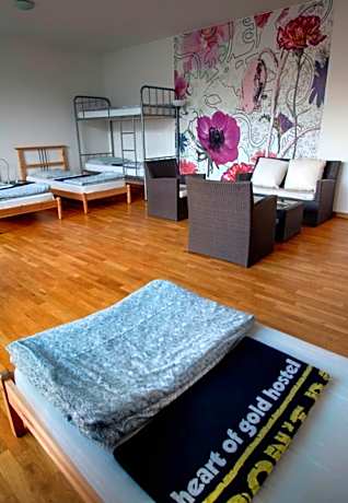 Bed in 6-Bed Dorm