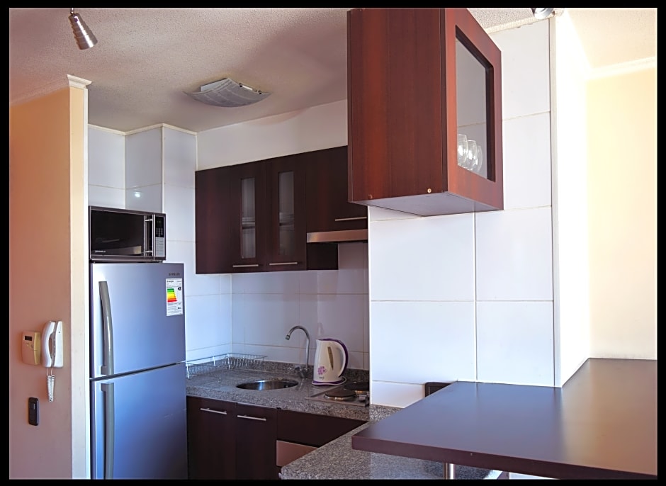 Santiago Furnished Apartments