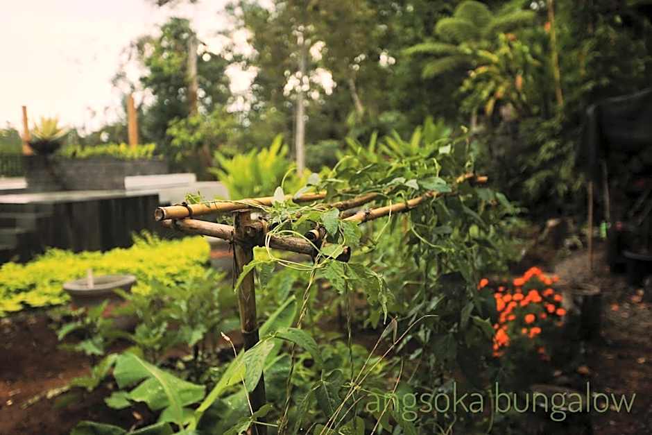 Angsoka Bungalow