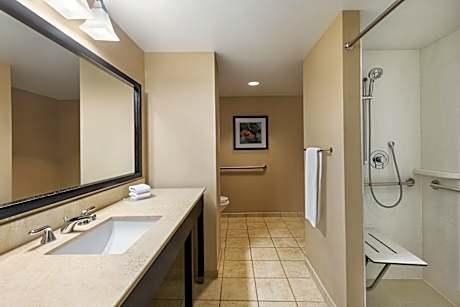 Standard King Room with Mobility Accessible Roll-In Shower