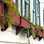 The Historic Requa Inn
