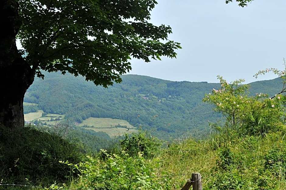 Albergo Ristorante Poli
