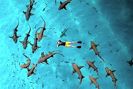 Crown Beach Hotel Maldives