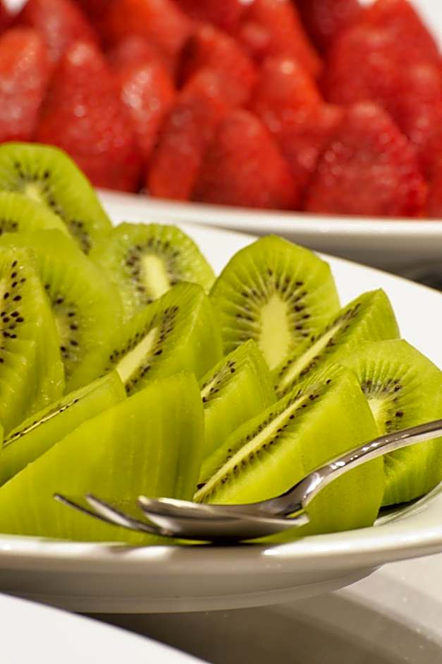 Radisson Blu Plaza El Bosque Santiago