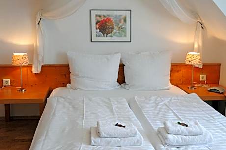 Basic Economy Double Room