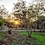 Foxy Crocodile Bush Lodge & Kruger Safaris