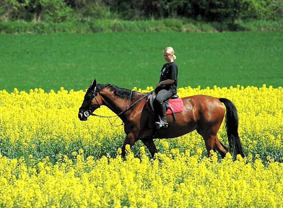 Pytloun Chateau Hotel Ctěnice