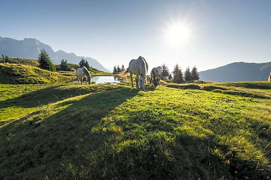AlpenParks Hotel & Apartment Hochkönig