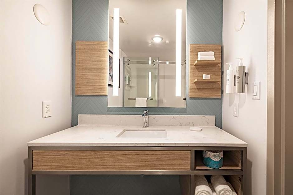 Hilton Garden Inn Albany