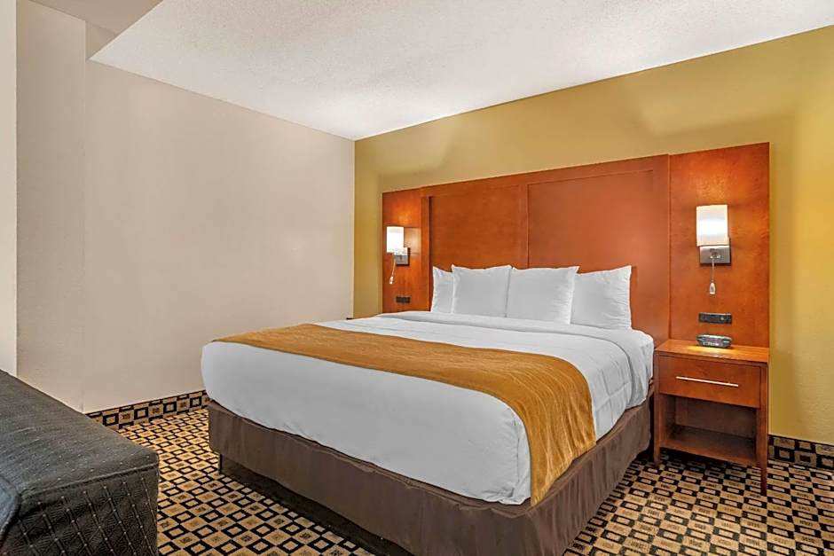 Comfort Inn & Suites Athens