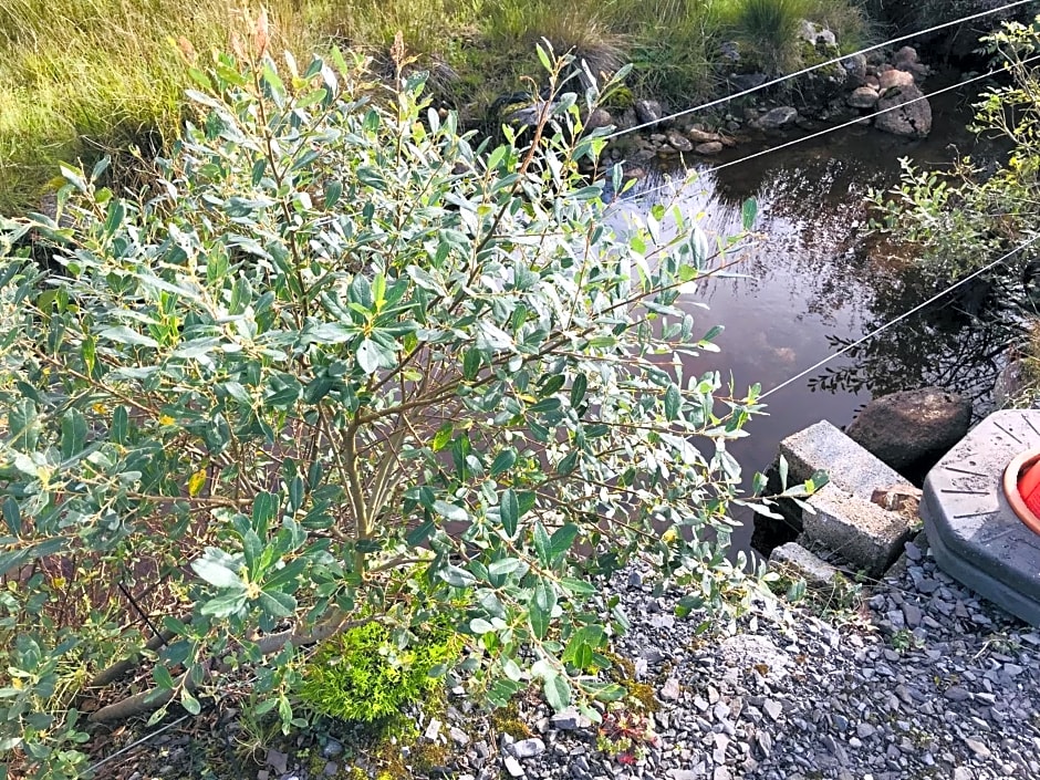 Hillcrest farmhouse Bed & Breakfast