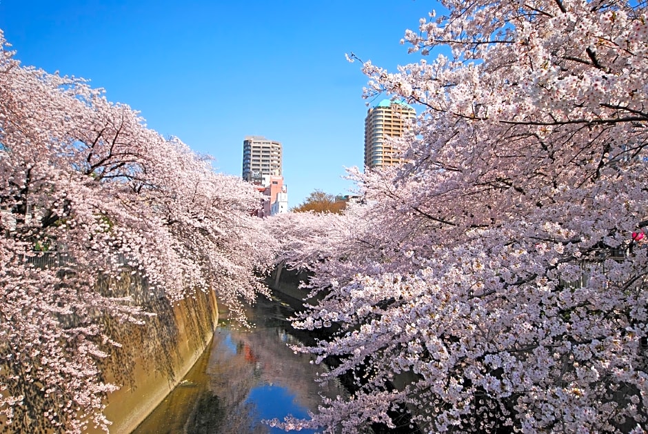 Sotetsu Fresa Inn Tokyo-Kanda
