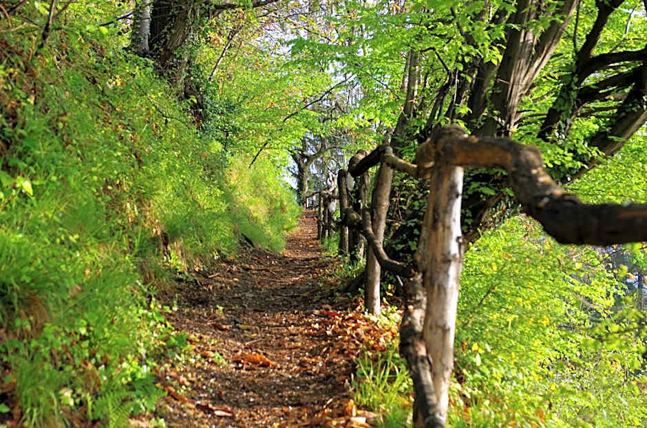 Stampa 1968 Hotel e Ristorante