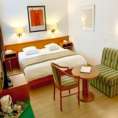 Hotel Francais