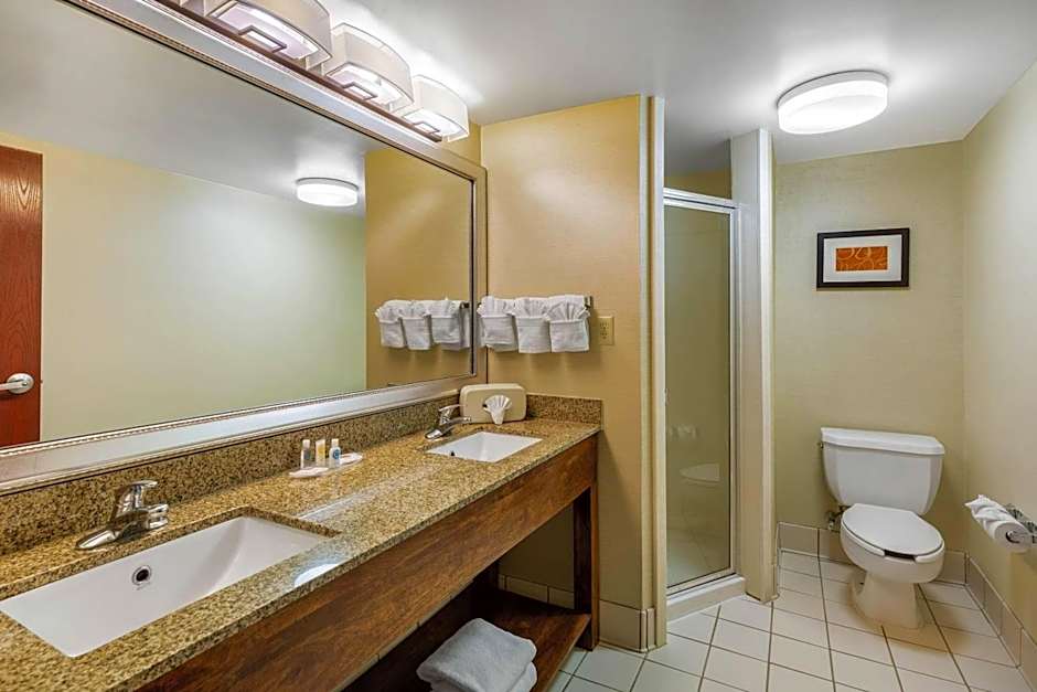 Comfort Suites Manassas Battlefield Park