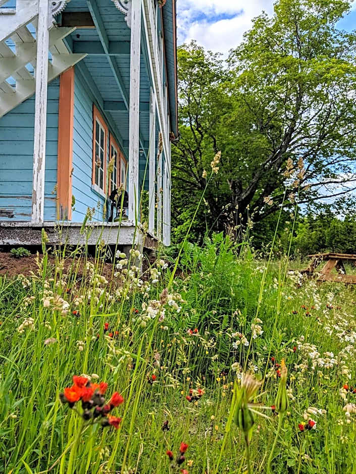 Auberge de jeunesse du Domaine à Liguori