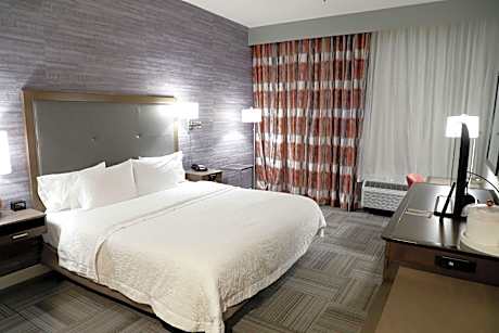 1 King Mobility/Hearing Acc Ri Shower Nosmok