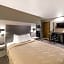 Quality Inn & Suites North Mesquite I-30