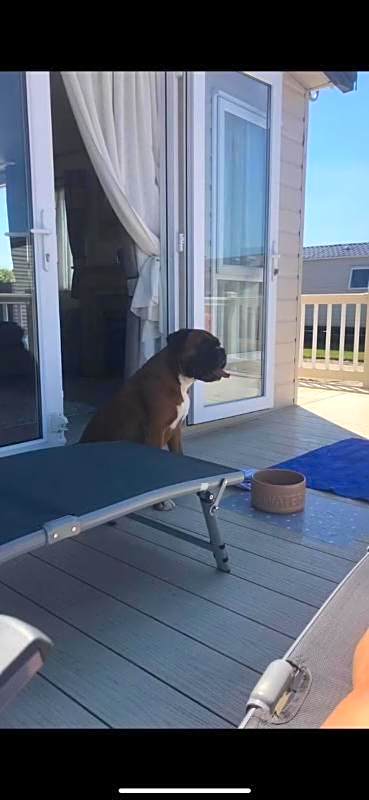 Whitstable Pearl - Alberta Holiday Park