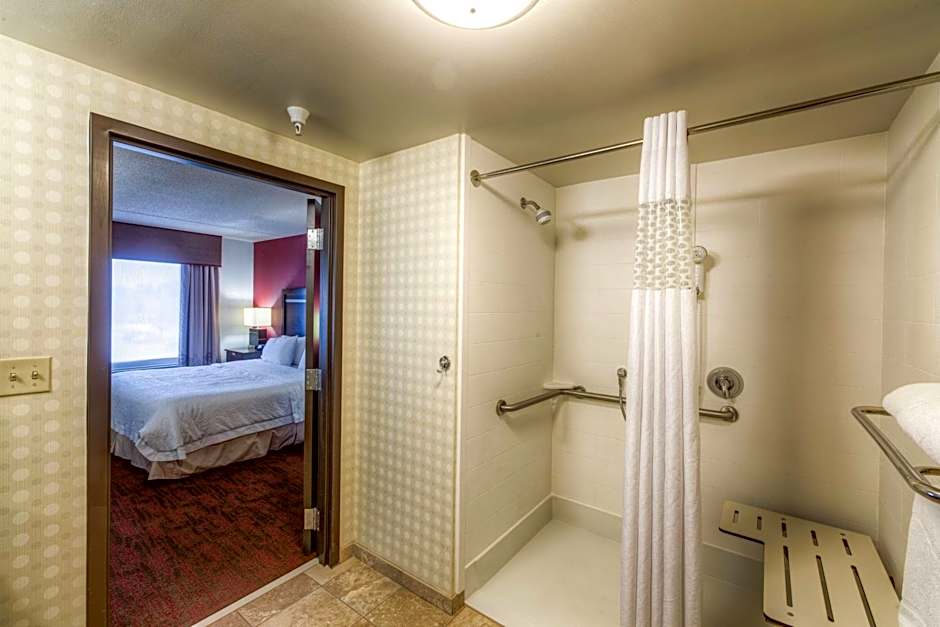 Hampton Inn By Hilton And Suites Detroit/Airport-Romulus