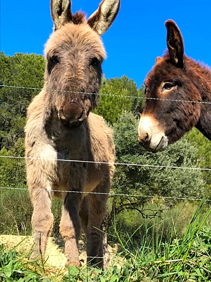 Bastide Bellugue Maison d'hôtes réseau Bienvenue à La Ferme à 3 minutes de Lourmarin