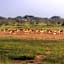 Seronera Wildlife Lodge
