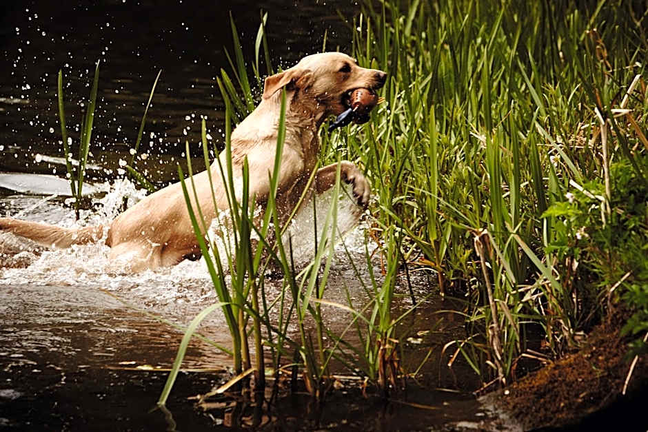 The Gleneagles Hotel