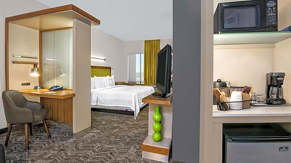 SpringHill Suites by Marriott San Antonio SeaWorld/Lackland