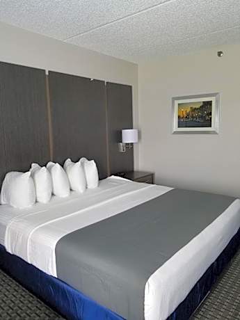 Large King Room - Non-Smoking
