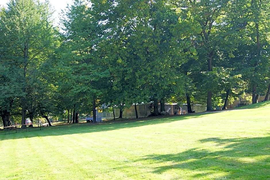 Le Chateau De La Vierge