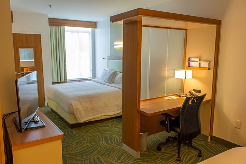 SpringHill Suites by Marriott Sumter