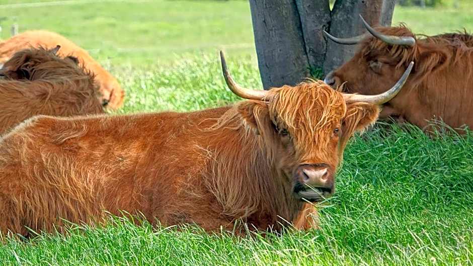 Glencoe Country Bed and Breakfast