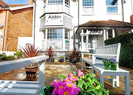 The Aldor