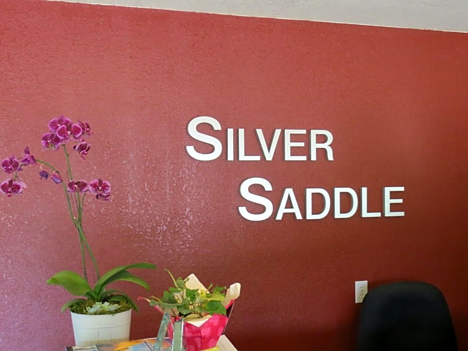 Silver Saddle Motel