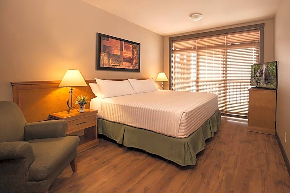 Photo 1 of 11 of 1 Bedroom Suite