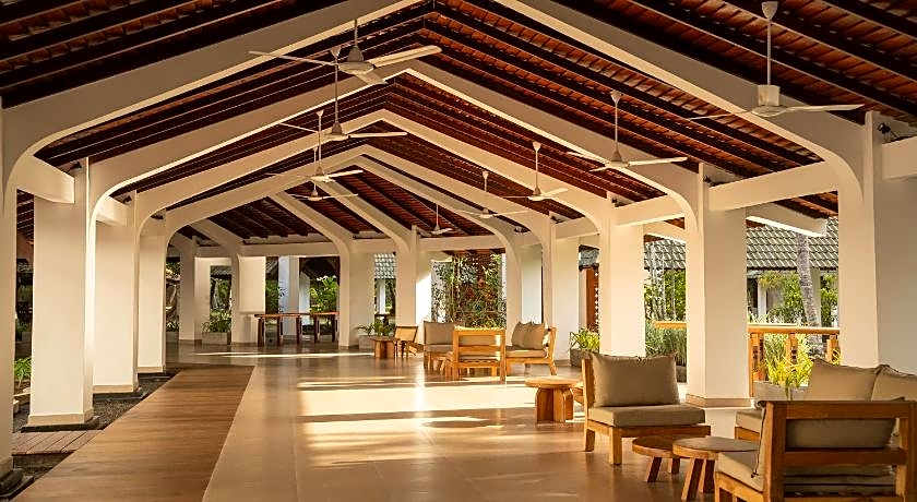 The Palms