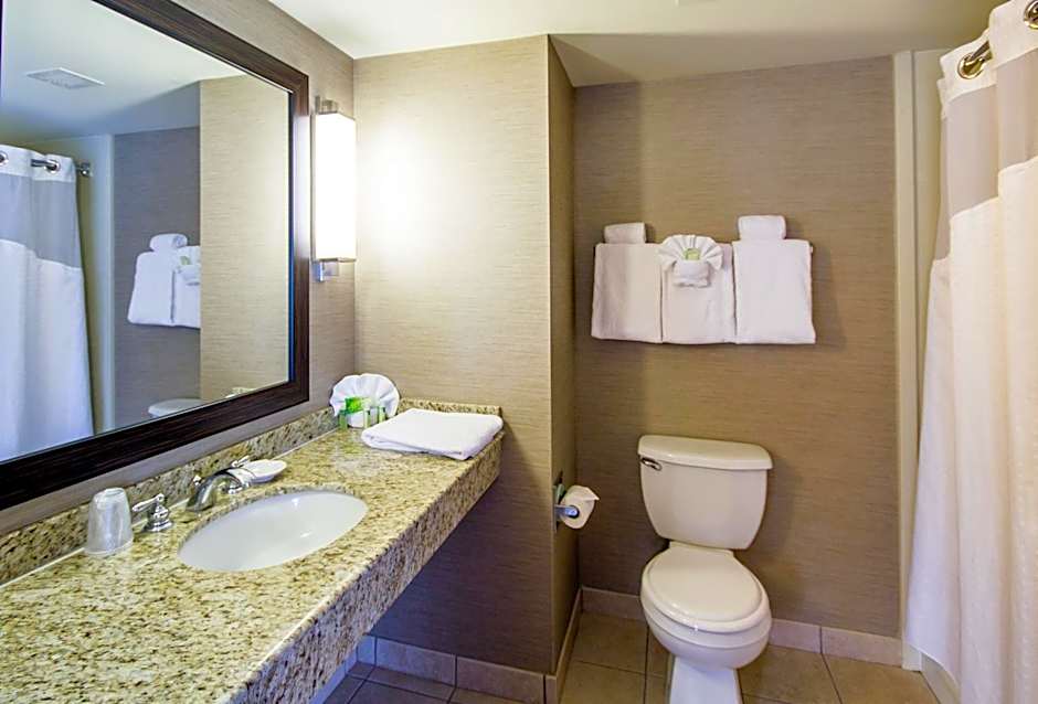 Holiday Inn Express Hotel & Suites Auburn By IHG