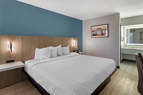 King Room - Pet-Friendly