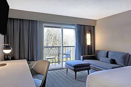 Room, 1 King Bed with Sofa bed (Hearing Accessible) (1 King Bed and 1 Double Sofa Bed)