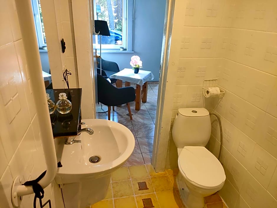 Zacisze Leśne nad Pilicą