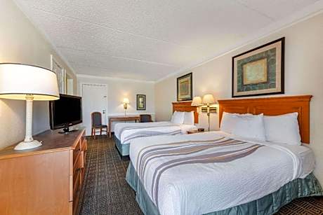 Double Room with Two Double Beds