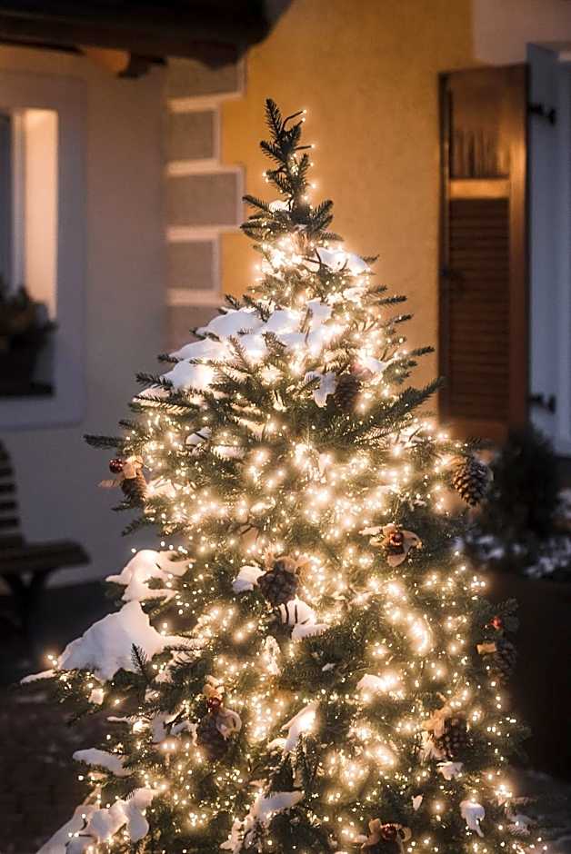 Hotel Villa Waldheim