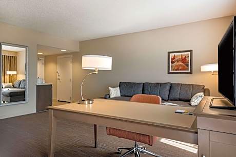 1 King Bed Nonsmoking