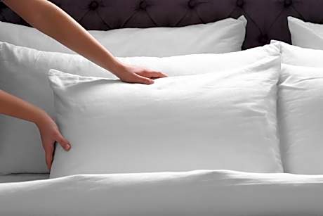 Guest room, 1 King (Mobility Accessible w/Roll-in Shower)