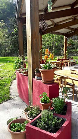 Bed in 8-Bed Female Dormitory Room