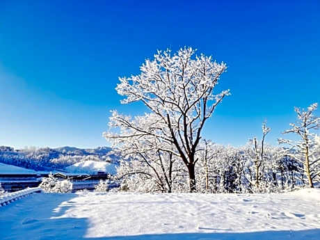 Sokcho Ulsanbawi Bed and Breakfast