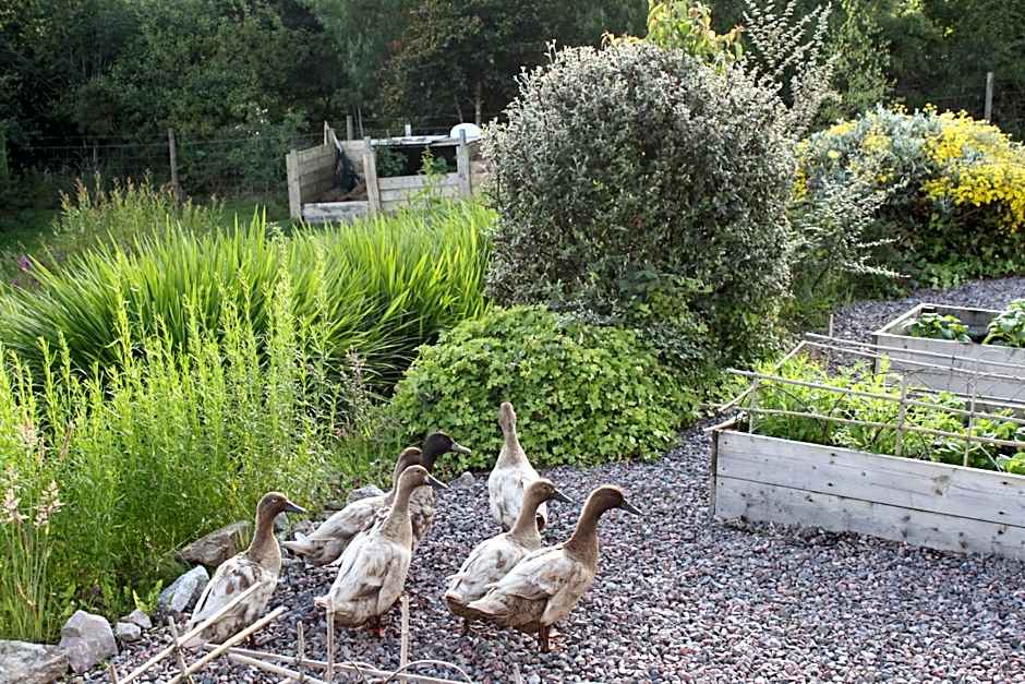 Heatherbank Guest House