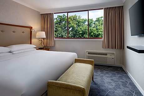 One-Bedroom King Suite with Sofa Bed and Garden View