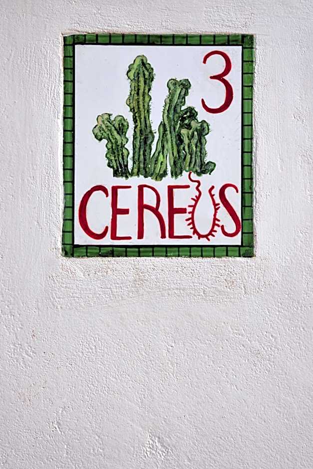Cactus Hydra - Art Apartments